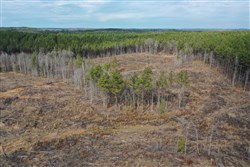 Fairview Hills Tract 12