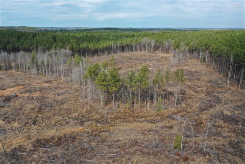 Fairview Hills Tract 12