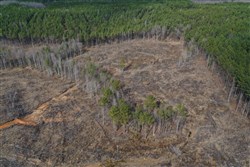 Fairview Hills Tract 12