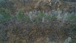Fairview Hills Tract 12