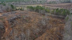 property photo for Fairview Hills Tract 2, 5.11 acres for sale in Lamar County, Alabama