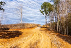 property photo for Fairview Hills Tract 2, 5.11 acres for sale in Lamar County, Alabama