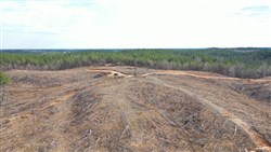 property photo for Fairview Hills Tract 3, 5.07 acres for sale in Lamar County, Alabama