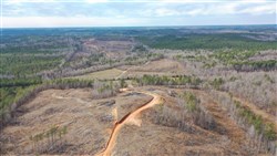 property photo for Fairview Hills Tract 4, 5.08 acres for sale in Lamar County, Alabama