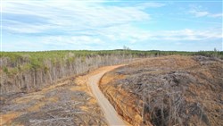 property photo for Fairview Hills Tract 4, 5.08 acres for sale in Lamar County, Alabama