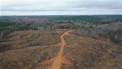 property photo for Fairview Hills Tract 4, 5.08 acres for sale in Lamar County, Alabama
