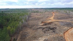 property photo for Fairview Hills Tract 5, 5.49 acres for sale in Lamar County, Alabama