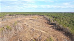 property photo for Fairview Hills Tract 5, 5.49 acres for sale in Lamar County, Alabama