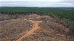 property photo for Fairview Hills Tract 5, 5.49 acres for sale in Lamar County, Alabama