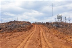 property photo for Fairview Hills Tract 5, 5.49 acres for sale in Lamar County, Alabama