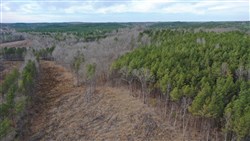 property photo for Fairview Hills Tract 6, 5.11 acres for sale in Lamar County, Alabama