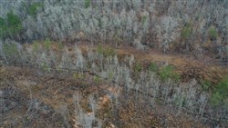 property photo for Fairview Hills Tract 6, 5.11 acres for sale in Lamar County, Alabama
