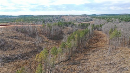 Fairview Hills Tract 7