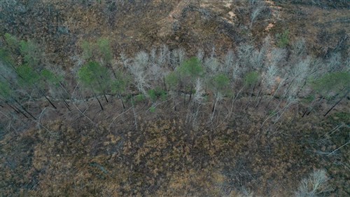 Fairview Hills Tract 7