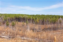 Fairview Hills Tract 7