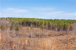 Fairview Hills Tract 7