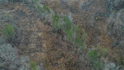 property photo for Fairview Hills Tract 8, 5.28 acres for sale in Lamar County, Alabama