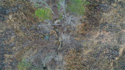 property photo for Fairview Hills Tract 8, 5.28 acres for sale in Lamar County, Alabama