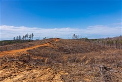 property photo for Fairview Hills Tract 8, 5.28 acres for sale in Lamar County, Alabama