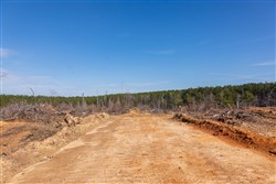property photo for Fairview Hills Tract 8, 5.28 acres for sale in Lamar County, Alabama