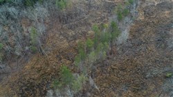 Fairview Hills Tract 9