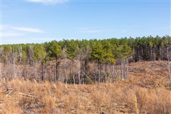 Fairview Hills Tract 9