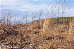 Fairview Hills Tract 9