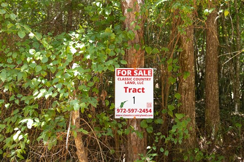 Olive Hill Tract 1