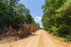 Olive Hill Tract 1