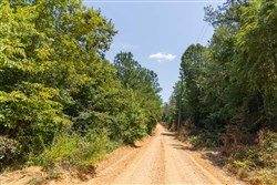 Olive Hill Tract 1