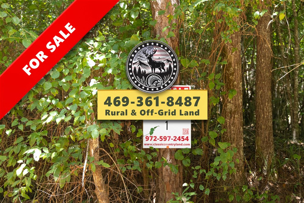 Olive Hill Tract 1 - Primary