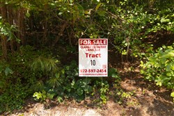 Olive Hill Tract 10