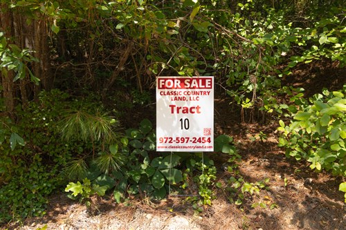 Olive Hill Tract 10