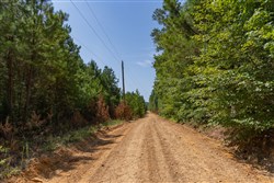 Olive Hill Tract 10