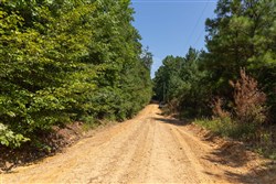 Olive Hill Tract 10