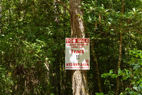Olive Hill Tract 11