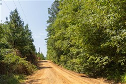 Olive Hill Tract 11
