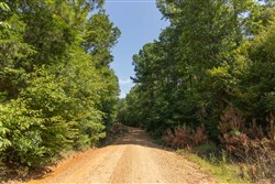 Olive Hill Tract 11