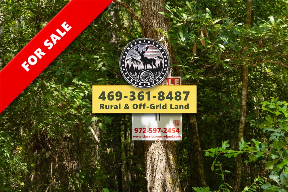 Olive Hill Tract 11 - Primary