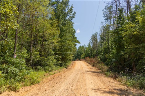 Olive Hill Tract 2