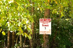 Olive Hill Tract 3
