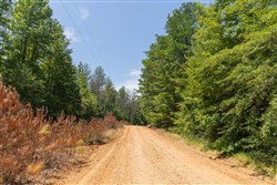 Olive Hill Tract 3