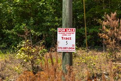 Olive Hill Tract 5