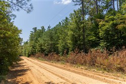 Olive Hill Tract 5