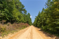 Olive Hill Tract 5
