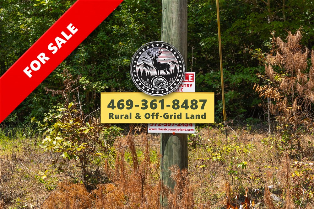 Olive Hill Tract 5 - Primary