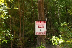 Olive Hill Tract 6