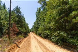 Olive Hill Tract 6