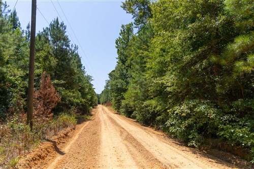 Olive Hill Tract 6