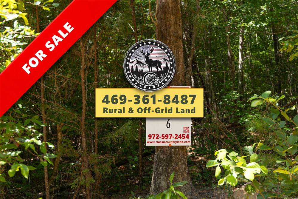 Olive Hill Tract 7 - Primary